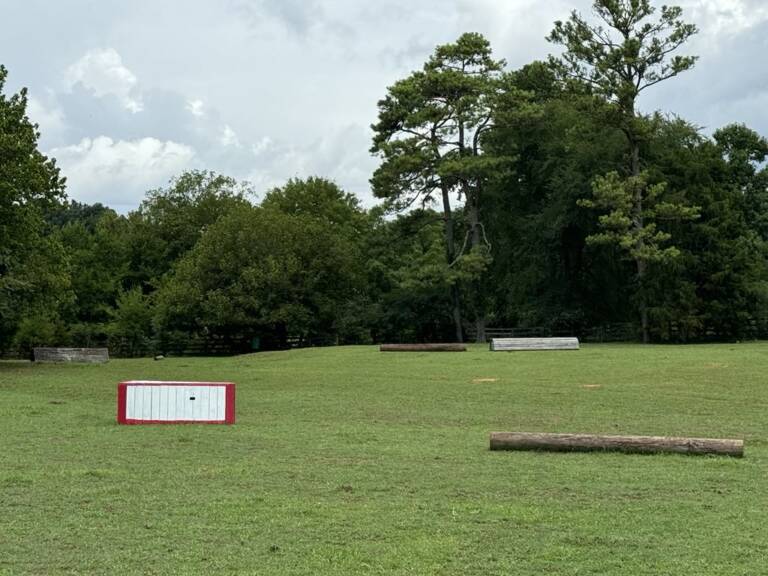 cross-country-photo-1