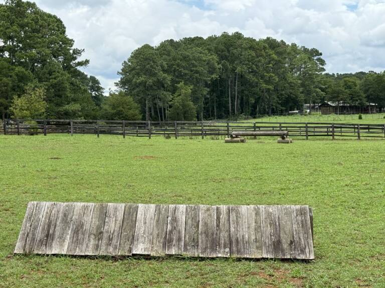 cross-country-photo-2