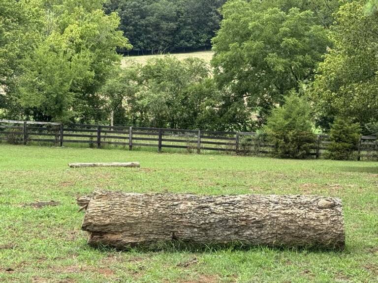 cross-country-photo-3