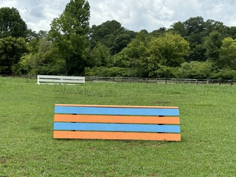 cross-country-photo-4