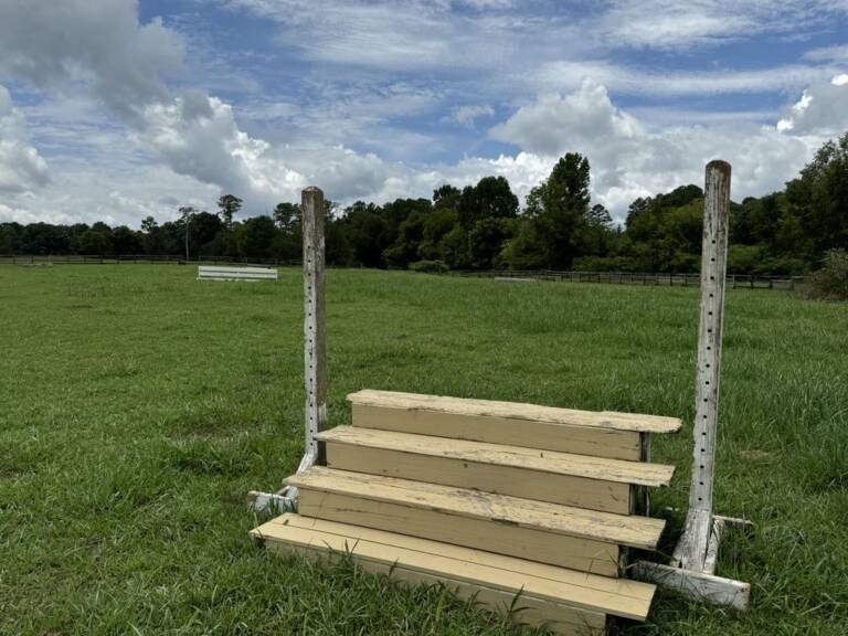 cross-country-photo-5