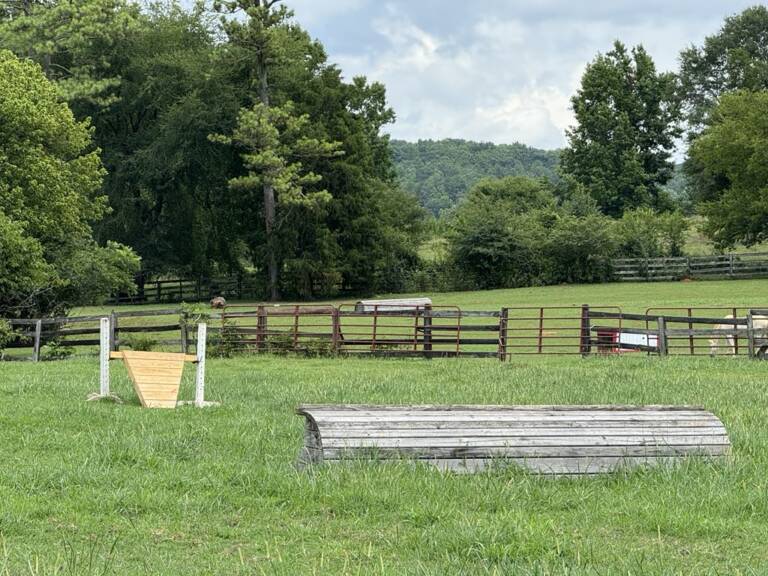 cross-country-photo-6