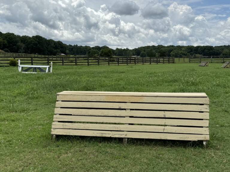 cross-country-photo-7