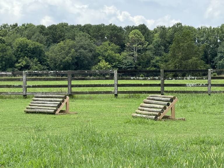 cross-country-photo-8