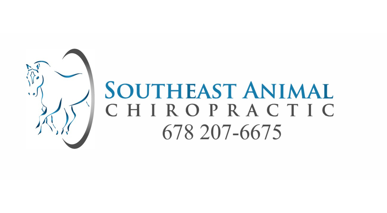 South East Animal Chiropractic